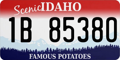 ID license plate 1B8538O