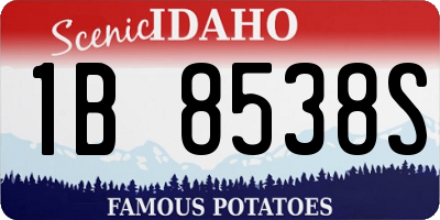 ID license plate 1B8538S