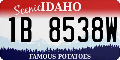 ID license plate 1B8538W