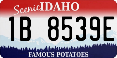 ID license plate 1B8539E