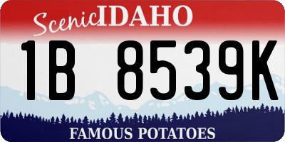ID license plate 1B8539K