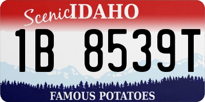 ID license plate 1B8539T