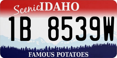 ID license plate 1B8539W