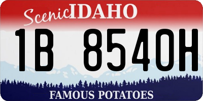 ID license plate 1B8540H