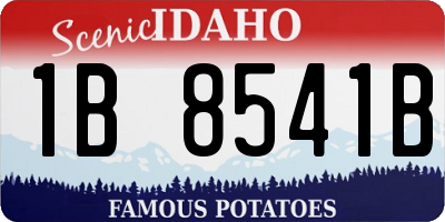 ID license plate 1B8541B