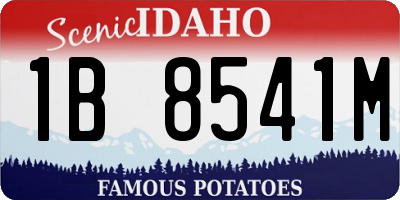 ID license plate 1B8541M