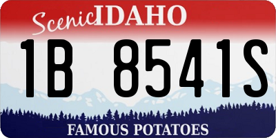 ID license plate 1B8541S
