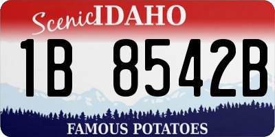 ID license plate 1B8542B