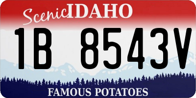 ID license plate 1B8543V