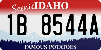 ID license plate 1B8544A