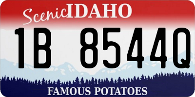 ID license plate 1B8544Q