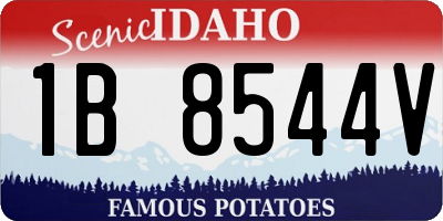 ID license plate 1B8544V