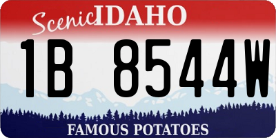 ID license plate 1B8544W