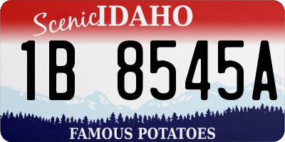 ID license plate 1B8545A