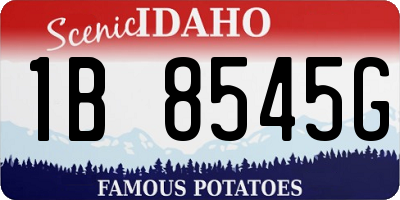 ID license plate 1B8545G