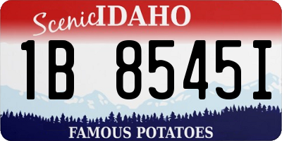 ID license plate 1B8545I