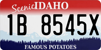 ID license plate 1B8545X