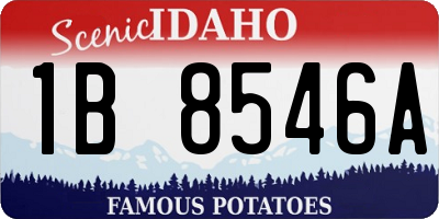 ID license plate 1B8546A