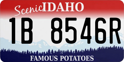 ID license plate 1B8546R
