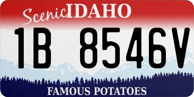 ID license plate 1B8546V