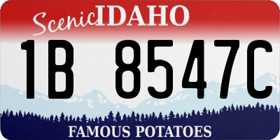 ID license plate 1B8547C