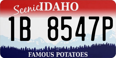 ID license plate 1B8547P