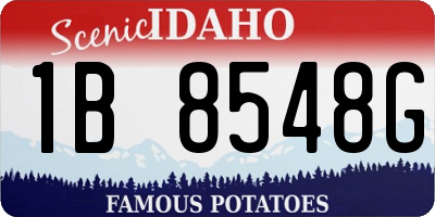 ID license plate 1B8548G