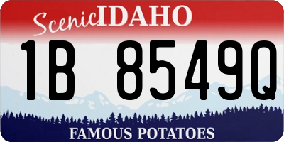 ID license plate 1B8549Q