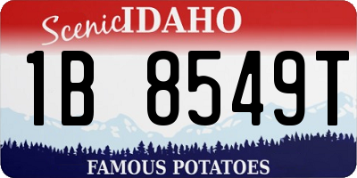ID license plate 1B8549T