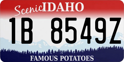 ID license plate 1B8549Z