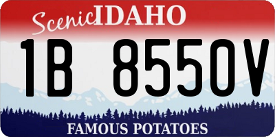 ID license plate 1B8550V