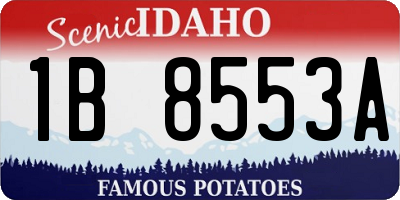 ID license plate 1B8553A