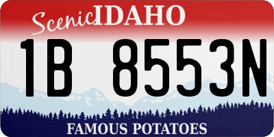 ID license plate 1B8553N