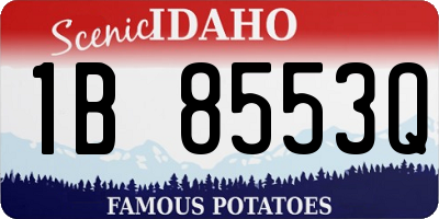 ID license plate 1B8553Q