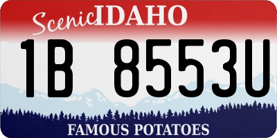 ID license plate 1B8553U
