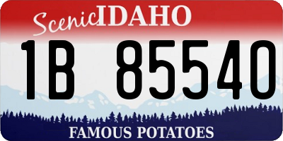 ID license plate 1B8554O