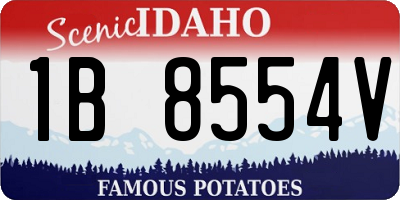 ID license plate 1B8554V