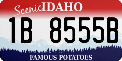 ID license plate 1B8555B