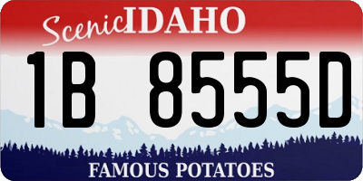 ID license plate 1B8555D