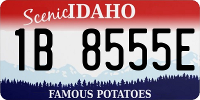 ID license plate 1B8555E