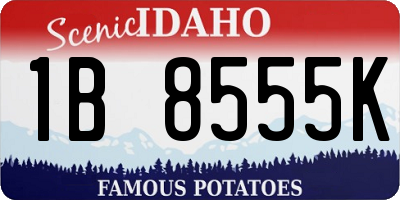 ID license plate 1B8555K