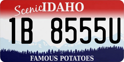 ID license plate 1B8555U