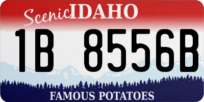 ID license plate 1B8556B