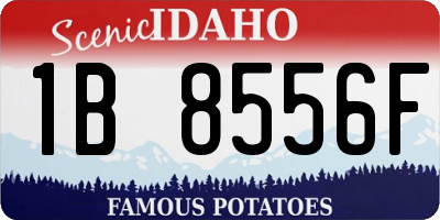 ID license plate 1B8556F