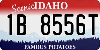 ID license plate 1B8556T