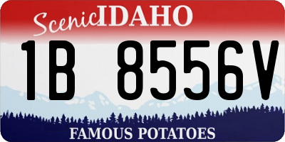 ID license plate 1B8556V