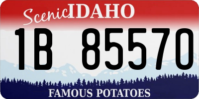 ID license plate 1B8557O