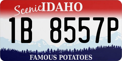 ID license plate 1B8557P