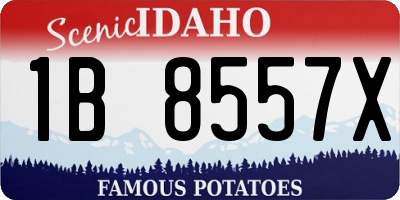 ID license plate 1B8557X