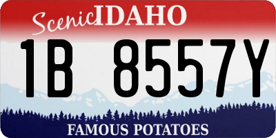 ID license plate 1B8557Y